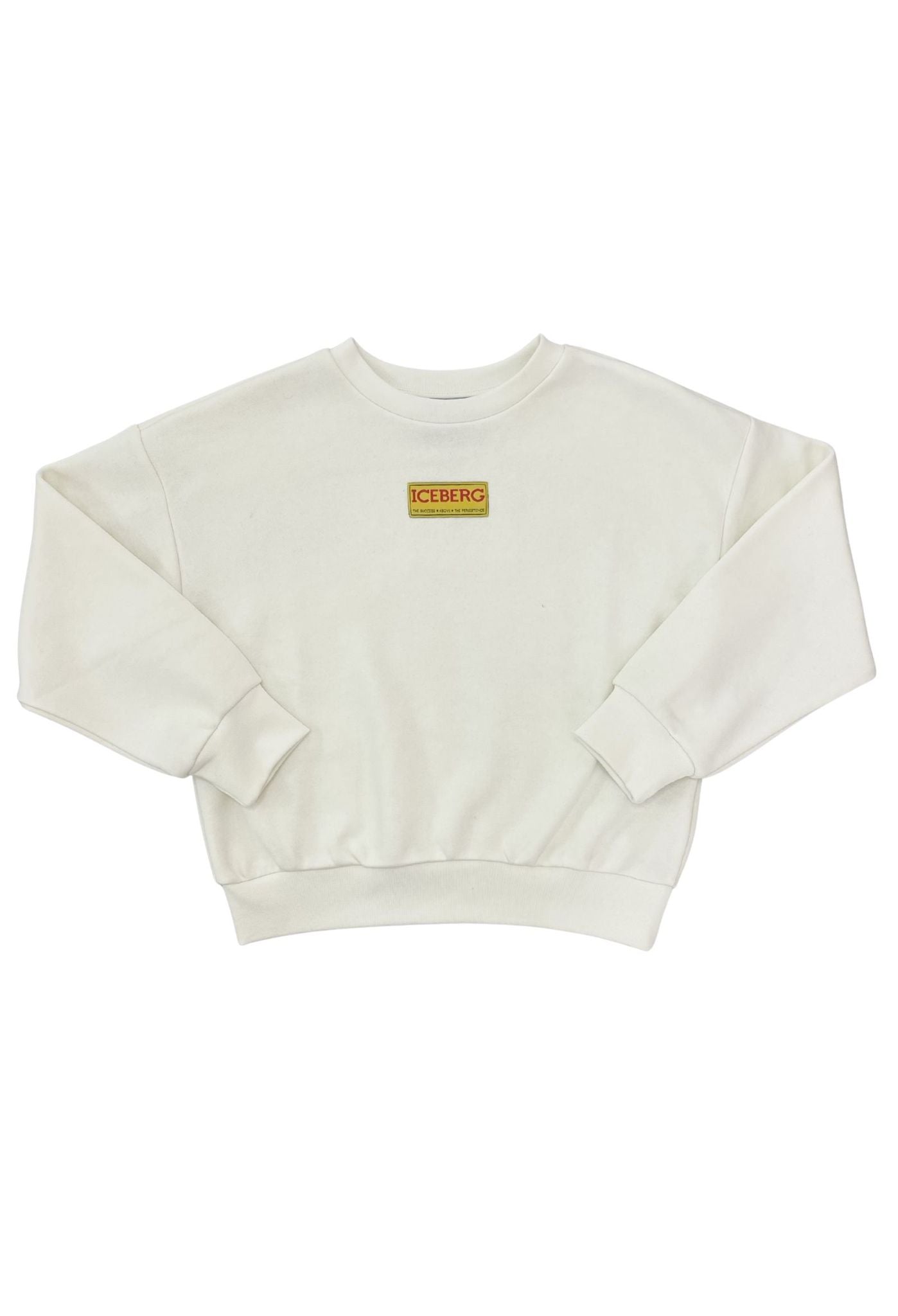 Felpa Iceberg Bambino