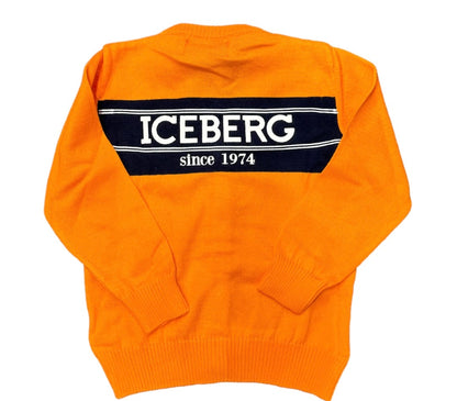 Cardigan Iceberg
