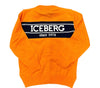 Cardigan Iceberg
