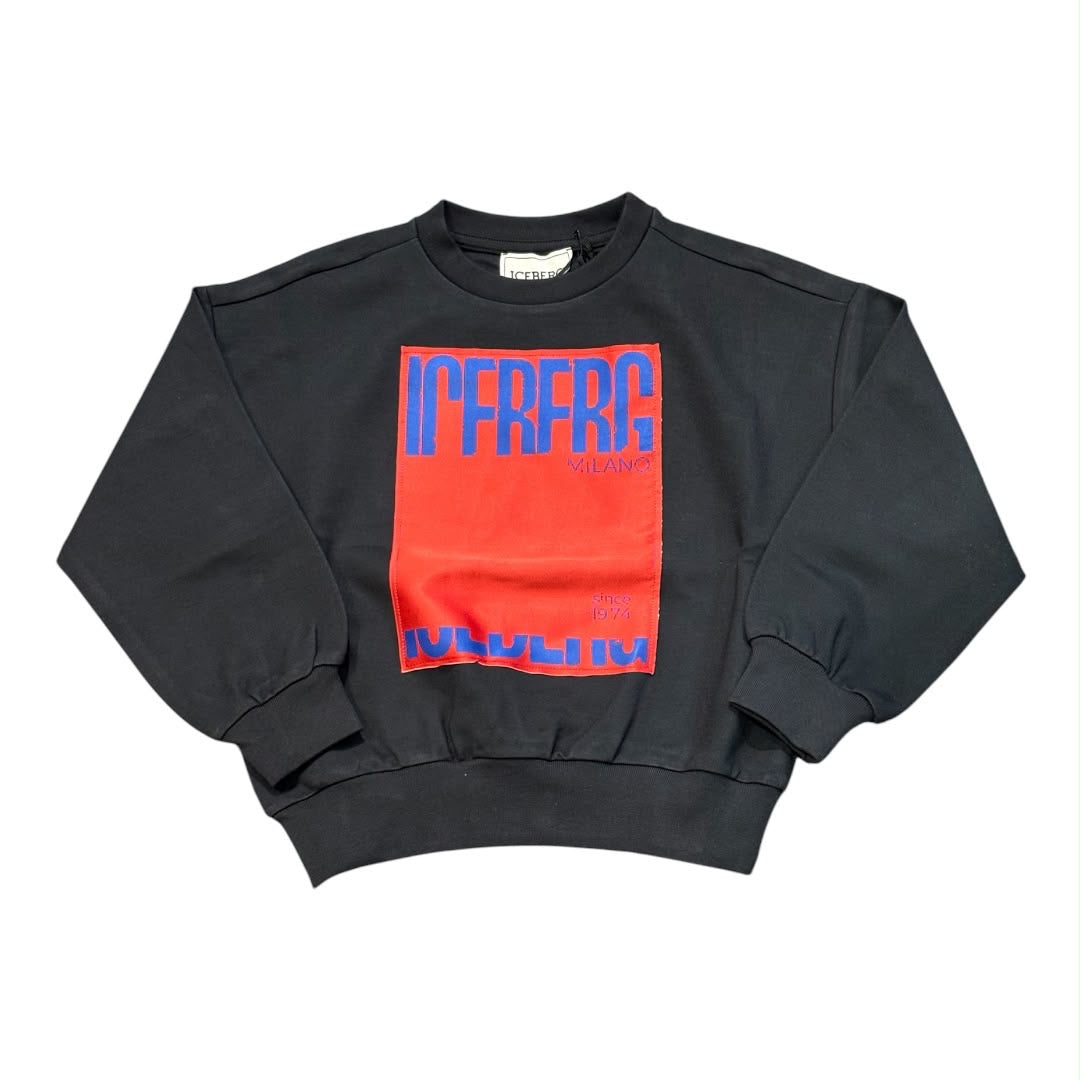 Felpa Iceberg Bambino