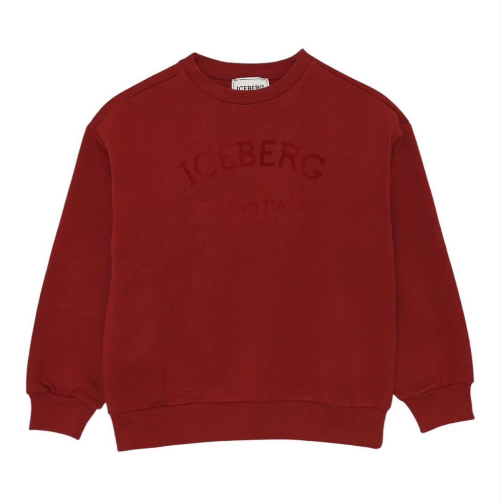 Felpa Iceberg Bambino
