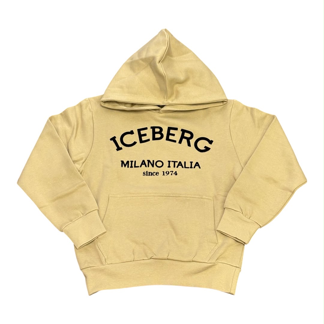 Felpa Iceberg