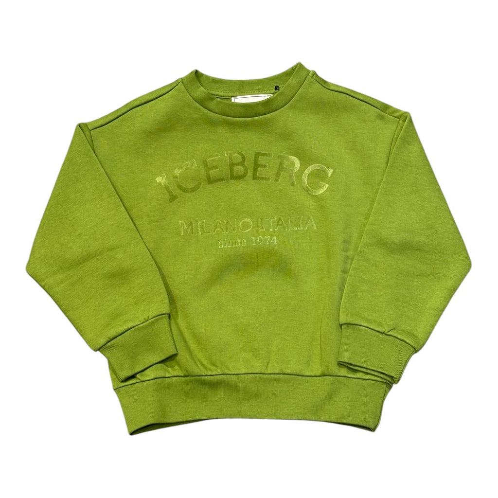 Felpa Iceberg Bambino