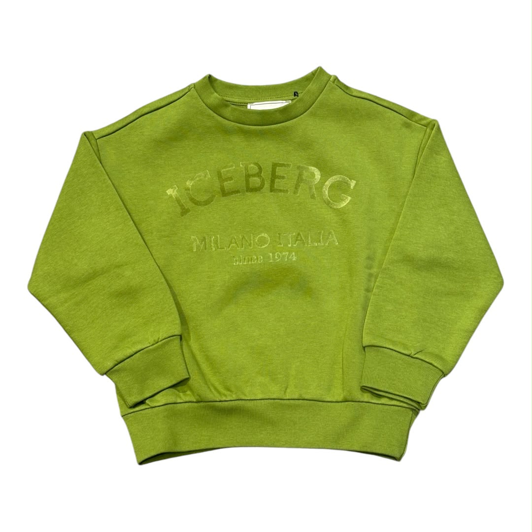Felpa Iceberg Bambino