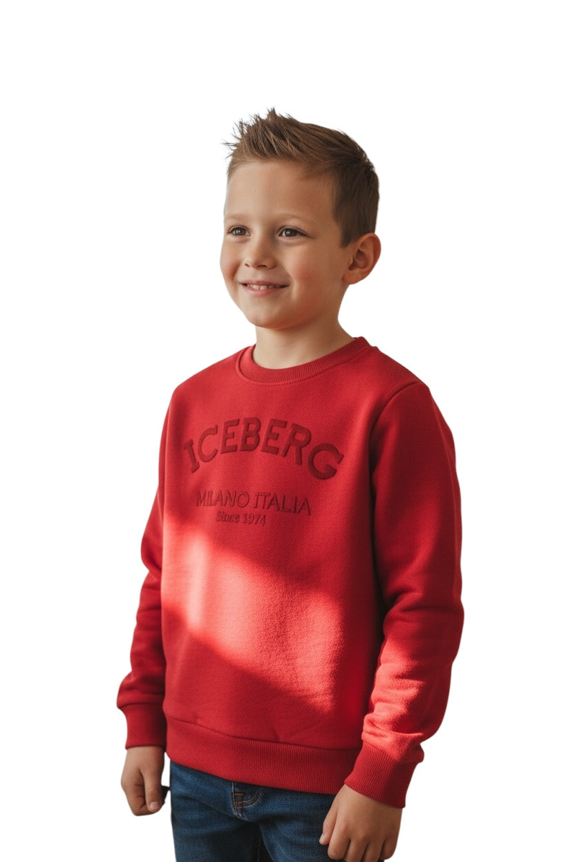 Felpa Iceberg Bambino