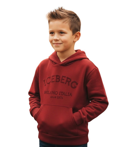 Felpa Iceberg Bambino